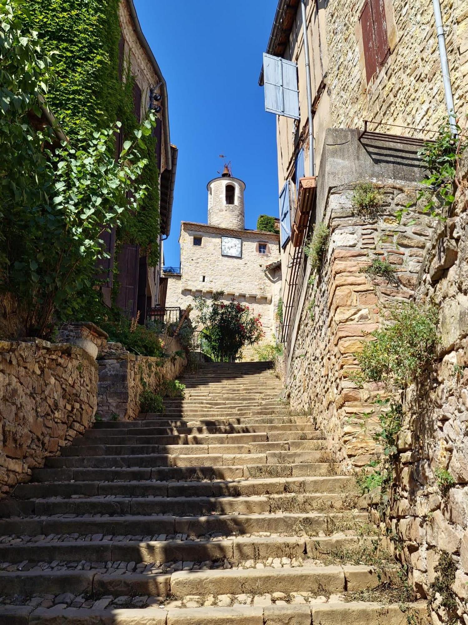 Puechblanc Gites Et Chambre D'Hote Dans Le Triangle D'Or Gaillac-Albi-Cordes Sur Ciel Fayssac Exterior photo